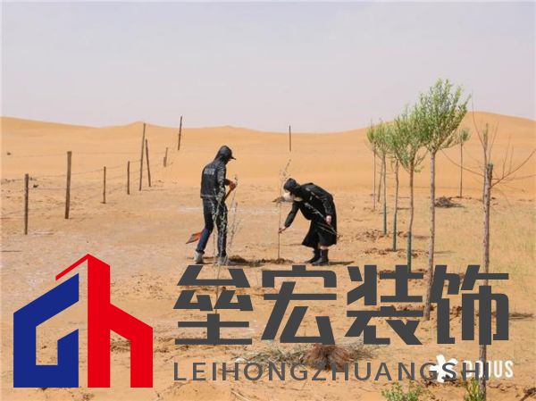 DOJUS 度假式家私：重構(gòu)家居消費場景，定義“日常，就度假”的美學革命